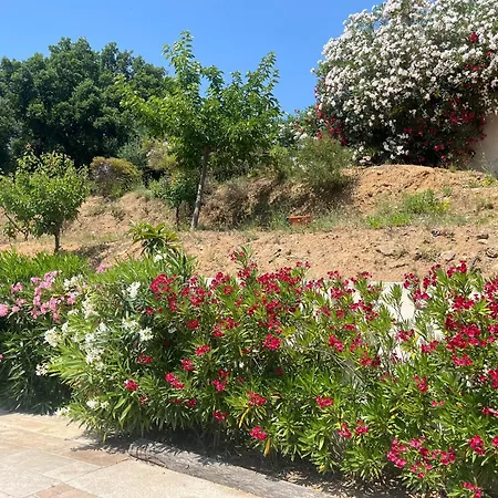 Les Nefliers דירה