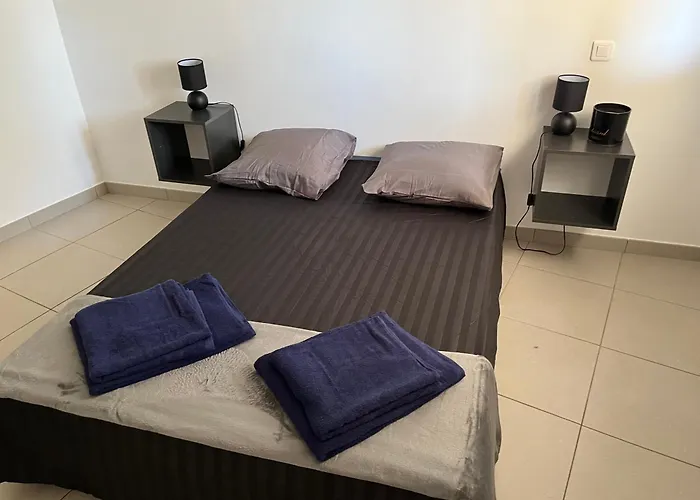 Les Nefliers Appartement