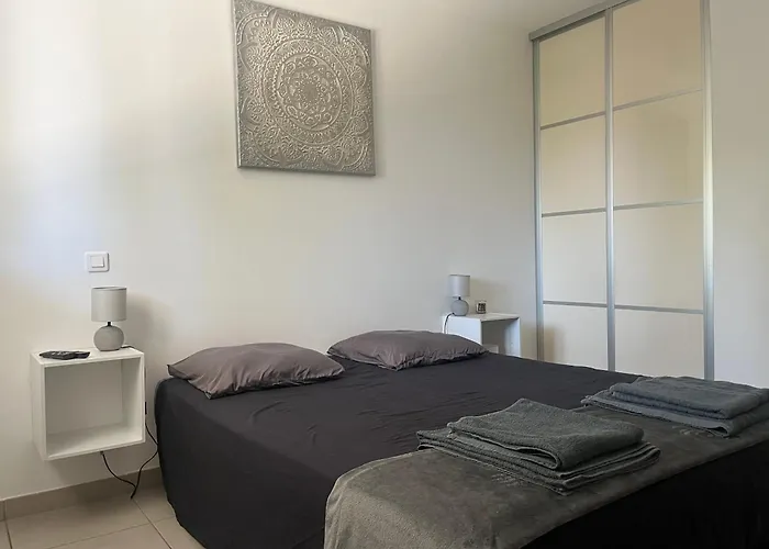 Les Nefliers Appartement